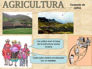 Los ayllus eran la base
de la estructura social
incaica
Cada ayllu estaba encabezado
por un curaca.
Conjunto de
ayllús
 