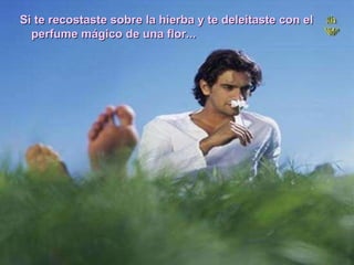 Si te recostaste sobre la hierba y te deleitaste con el perfume mágico de una flor...   