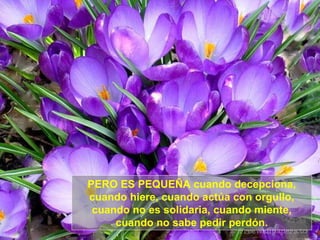 PERO ES PEQUEÑA cuando decepciona, cuando hiere, cuando actúa con orgullo, cuando no es solidaria, cuando miente, cuando no sabe pedir perdón. 