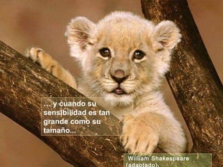 …  y cuando su sensibilidad es tan grande como su tamaño... William Shakespeare (adaptado)  