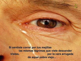 Si sentiste correr por tus mejillas  las mismas lágrimas que viste descender tristes,  por la cara arrugada de aquel pobre viejo... 