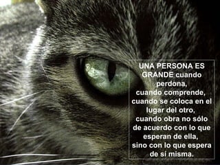 UNA PERSONA ES GRANDE cuando perdona, cuando comprende,  cuando se coloca en el lugar del otro,  cuando obra no sólo de acuerdo con lo que esperan de ella,  sino con lo que espera de sí misma. 