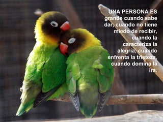 UNA PERSONA ES grande cuando sabe dar, cuando no tiene miedo de recibir, cuando la caracteriza la alegría, cuando enfrenta la tristeza, cuando domina la ira. 