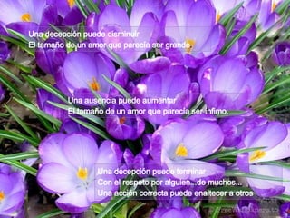 Una decepción puede disminuir El tamaño de un amor que parecía ser grande . Una ausencia puede aumentar El tamaño de un amor que parecía ser ínfimo. Una decepción puede terminar Con el respeto por alguien...de muchos... Una acción correcta puede enaltecer a otros   
