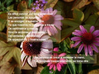 Es difícil convivir con esta elasticidad:  Las personas se agigantan Y se encogen a nuestros ojos.  Ya que nosotros no juzgamos a través De centímetros y metros,  Sino de acciones y reacciones, De verdades o falsedades, De expectativas y frustraciones. Una persona es única al extender la mano,  Y al recogerla inesperadamente, se torna otra . 
