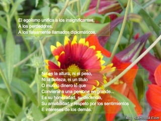 El egoísmo unifica a los insignificantes, A los perdedores,  A los falsamente llamados diplomáticos. No es la altura, ni el peso,  Ni la belleza, ni un titulo  O mucho dinero lo que Convierte a una persona en grande...  Es su honestidad, su decencia, Su amabilidad y respeto por los sentimientos E intereses de los demás. 