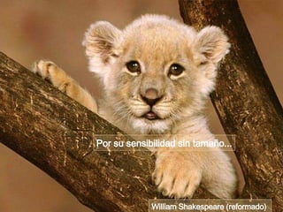 Por su sensibilidad sin tamaño... William Shakespeare (reformado)  