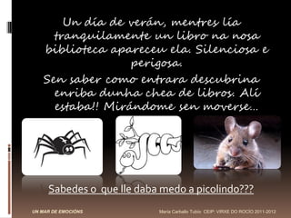 Un día de verán, mentres lía
      tranquilamente un libro na nosa
    biblioteca apareceu ela. Silenciosa e
                   perigosa.
    Sen saber como entrara descubrina
      enriba dunha chea de libros. Alí
      estaba!! Mirándome sen moverse…




     Sabedes o que lle daba medo a picolindo???
UN MAR DE EMOCIÓNS         María Carballo Tubío CEIP: VIRXE DO ROCÍO 2011-2012
 