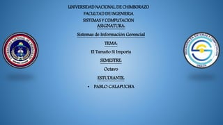 UNIVERSIDADNACIONALDE CHIMBORAZO
FACULTADDE INGENIERIA
SISTEMASY COMPUTACION
ASIGNATURA:
Sistemas de Información Gerencial
TEMA:
El Tamaño Si Importa
SEMESTRE:
Octavo
ESTUDIANTE:
• PABLO CALAPUCHA
 