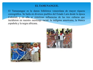 EL TAMUNANGUE.
El Tamunangue es la danza folklórica venezolana de mayor riqueza
coreográfica. Se baila en diversos pueblos del Estado Lara desde la época
Colonial, y en ella se sintetizan influencias de las tres culturas que
incidieron en nuestro mestizaje racial: la indígena americana, la blanca
española y la negra africana.
 