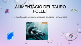 ALIMENTACIÓ DEL TAURO
FOLLET
EL TAURÓ FOLLET S’ALIMENTA DE PEIXOS, CRUSTACIS I CEFALÒPODES.
 