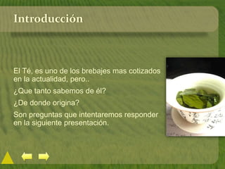 Introducción
El Té, es uno de los brebajes mas cotizados
en la actualidad, pero..
¿Que tanto sabemos de él?
¿De donde origina?
Son preguntas que intentaremos responder
en la siguiente presentación.
 