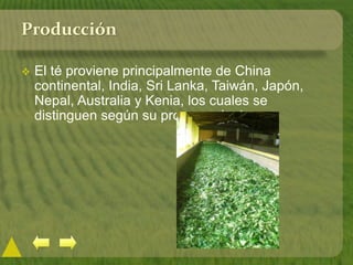Producción
 El té proviene principalmente de China
continental, India, Sri Lanka, Taiwán, Japón,
Nepal, Australia y Kenia, los cuales se
distinguen según su procesamiento.
 