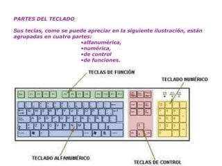 PARTES DEL TECLADO Sus teclas, como se puede apreciar en la siguiente ilustración, están agrupadas en cuatro partes:  alfanumérica,  numérica,  de control  de funciones. 