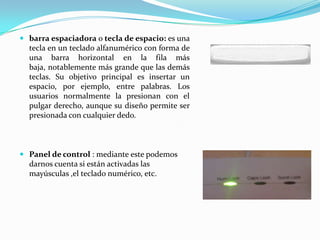  barra espaciadora o tecla de espacio: es una
  tecla en un teclado alfanumérico con forma de
  una barra horizontal en la fila más
  baja, notablemente más grande que las demás
  teclas. Su objetivo principal es insertar un
  espacio, por ejemplo, entre palabras. Los
  usuarios normalmente la presionan con el
  pulgar derecho, aunque su diseño permite ser
  presionada con cualquier dedo.



 Panel de control : mediante este podemos
  darnos cuenta si están activadas las
  mayúsculas ,el teclado numérico, etc.
 
