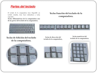 Partes del teclado
 El teclado de la computadora tiene disponible un             Teclas Función del teclado de la
 teclado estándar, tiene luces indicadoras y teclas
 especiales.                                                           computadora.
 Teclas Alfanuméricas de la computadora una
 de las partes del teclado de la computadora.




                                                        Teclas de dirección del        Teclas numéricas del
Teclas de Edición del teclado                                                      teclado de la computadora.
                                                      teclado de la computadora.
     de la computadora.
 