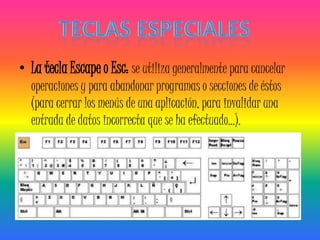 • La tecla Escape o Esc: se utiliza generalmente para cancelar
  operaciones y para abandonar programas o secciones de éstos
  (para cerrar los menús de una aplicación, para invalidar una
  entrada de datos incorrecta que se ha efectuado...).
 