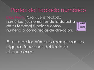 Bloq Num: Para que el teclado
numérico (los numeritos de la derecha
de tu teclado) funcione como
números o como teclas de dirección.
El resto de los números reemplazan las
algunas funciones del teclado
alfanumérico
 