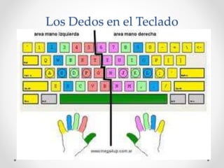 Los Dedos en el Teclado
 