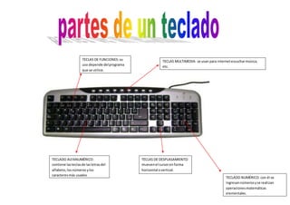 TECLAS MULTIMEDIA: se usan para internet escuchar música, 
etc. 
TECLAS DE FUNCIONES: su 
uso depende del programa 
que se utilice. 
TECLADO NUMÉRICO: con él se 
ingresan números y se realizan 
operaciones matemáticas 
elementales. 
TECLAS DE DESPLASAMIENTO: 
mueven el cursor en forma 
horizontal o vertical. 
TECLADO ALFANUMÉRICO: 
contiene las teclas de las letras del 
alfabeto, los números y los 
caracteres más usados 
 