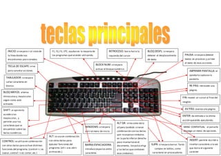 BLOCK NUM: sirve para 
activar el bloque numérico. 
WINDOWS: sirve para 
abrir el menú de inicio. 
TECLA DE ESCAPE: sirve 
para cancelar acciones. 
BLOQ MAYÚS: alterna 
minúsculas y mayúsculas 
según como este 
activado. 
SHIFT: al oprimirlo 
accede a las 
mayúsculas, y 
permite usar los 
caracteres que se 
encuentran sobre las 
teclas numéricas. 
F1, F2, F3, ETC: ayudan en la mayoría de 
los programas que se estén utilizando. 
RETROCESO: borra hacia la 
izquierda del cursor. 
PAUSA: sirve para detener 
textos en procesos y así leer 
el texto de esas acciones. 
IMPRIMIR PANTALLA: al 
apretarla capturas la 
pantalla. 
RE PÁG: retrocede una 
página. 
FIN: mueve un cursor al final del 
renglón. 
ENTER: da entrada a la última 
acción que estés ejecutando. 
INSERT: permite escribir o 
insertar caracteres a la vez 
que borra el siguiente 
carácter. 
TABULADOR: sirve para 
saltar caracteres en 
blanco. 
BARRA ESPACIADORA: 
introduce espacios entre 
caracteres. 
MENÚ CONTEXTUAL: al pulsarlo 
despega un menú de opciones. 
BLOQ DESPL: sirve para 
detener el desplazamiento 
de texto. 
AV PÁG: avanza una página. 
INICIO: sirve para ir al inicio de 
la línea donde nos 
encontramos posicionados. 
SUPR: sirve para borrar. Tanto 
campos en tablas, como 
caracteres en procesadores. 
CONTROL: se utiliza en combinación 
con otras teclas para activar distintas 
funciones del programa. (control + c es 
copiar, control + x es cortar, etc.) 
ALT: se usa en combinación 
con otras teclas para 
ejecutar funciones del 
programa. (alt + a es abrir 
archivo etc.) 
ALT GR: sirve como tecla 
alt pero también sirve en 
combinación con las teclas 
que incorporan símbolos 
en la parte inferior derecha 
para insertarlos en el 
documento, (se pulsa alt gr 
y las teclas que contienen 
esos símbolos). 
