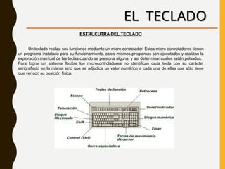 EL TECLADO
ESTRUCUTRA DEL TECLADO
Un teclado realiza sus funciones mediante un micro controlador. Estos micro controladores tienen
un programa instalado para su funcionamiento, estos mismos programas son ejecutados y realizan la
exploración matricial de las teclas cuando se presiona alguna, y así determinar cuales están pulsadas.
Para lograr un sistema flexible los microcontroladores no identifican cada tecla con su carácter
serigrafiado en la misma sino que se adjudica un valor numérico a cada una de ellas que sólo tiene
que ver con su posición física.
 
