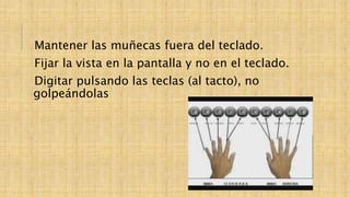 Mantener las muñecas fuera del teclado.
Fijar la vista en la pantalla y no en el teclado.
Digitar pulsando las teclas (al tacto), no
golpeándolas
 