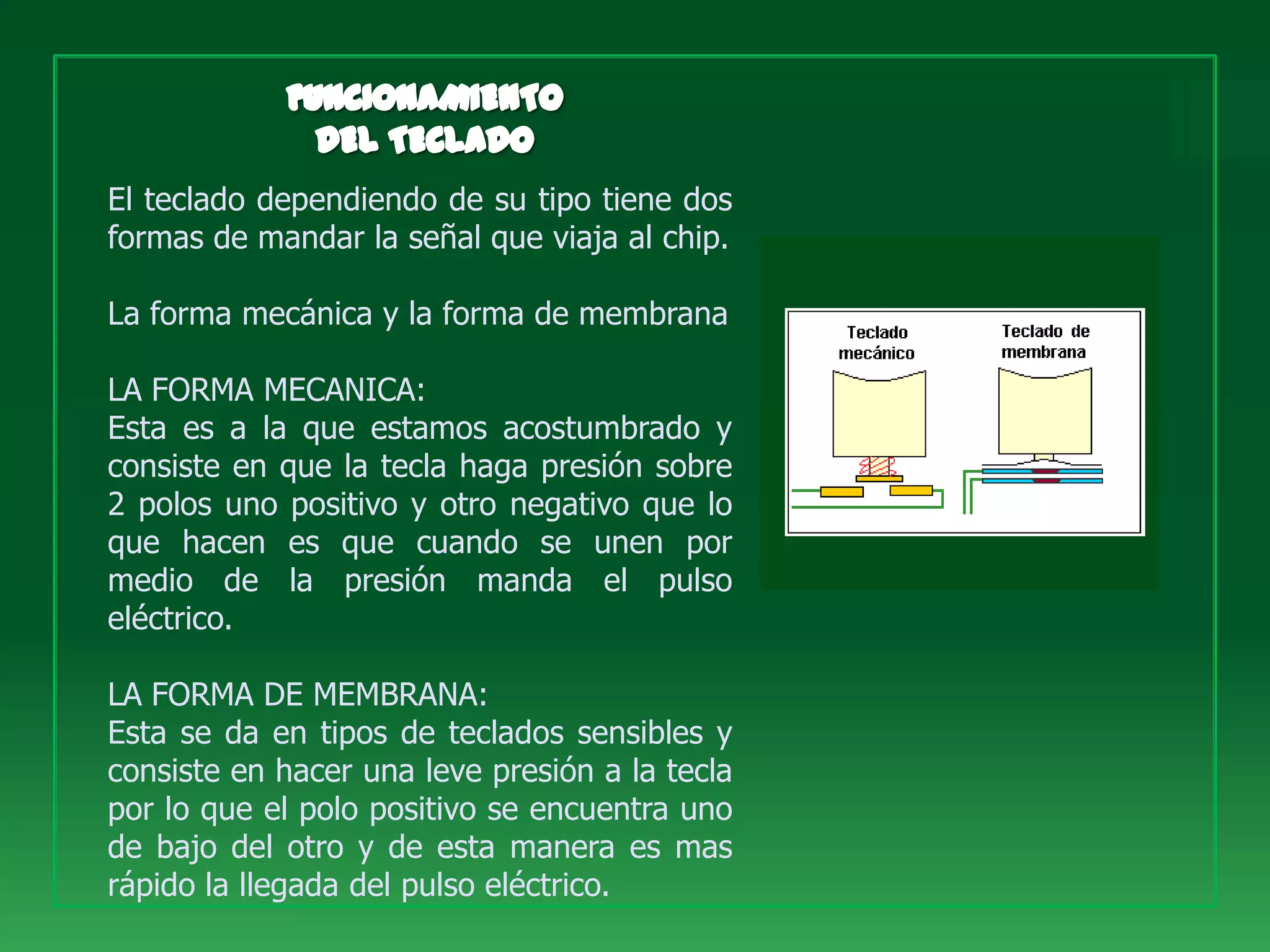 El teclado dependiendo de su tipo tiene dos
formas de mandar la señal que viaja al chip.

La forma mecánica y la forma de membrana

LA FORMA MECANICA:
Esta es a la que estamos acostumbrado y
consiste en que la tecla haga presión sobre
2 polos uno positivo y otro negativo que lo
que hacen es que cuando se unen por
medio de la presión manda el pulso
eléctrico.

LA FORMA DE MEMBRANA:
Esta se da en tipos de teclados sensibles y
consiste en hacer una leve presión a la tecla
por lo que el polo positivo se encuentra uno
de bajo del otro y de esta manera es mas
rápido la llegada del pulso eléctrico.
 