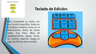 Teclado de Edición:
Esta compuesto 13 teclas con
una función específica. Están en
el teclado numérico como en el
alfanumérico. Entre las teclas
están: Imp Pant, Bloq de
desplazamiento, pausa, inicio,
fin, insertar, suprimir, repag, av
pag y las flechas direccionales.

 