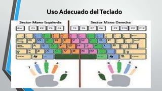 Uso Adecuado del Teclado

 