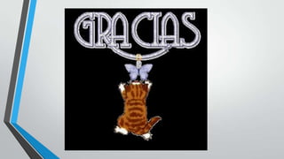 El teclado y sus partes 