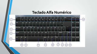 Teclado Alfa Numérico

 
