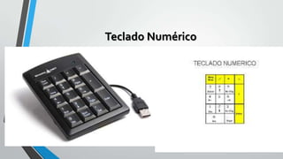 Teclado Numérico

 