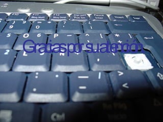 Gracias por su atención. 