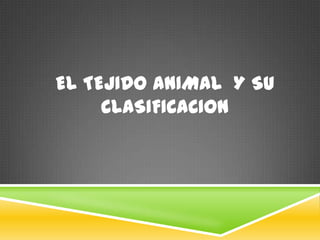 EL Tejido animal  Y SU CLASIFICACION  