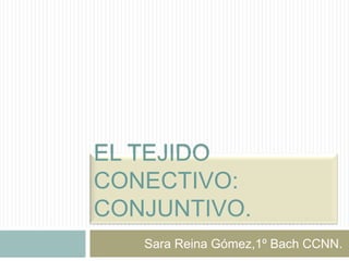 EL TEJIDO
CONECTIVO:
CONJUNTIVO.
   Sara Reina Gómez,1º Bach CCNN.
 