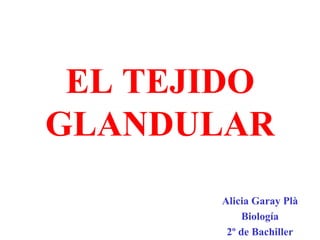 EL TEJIDO GLANDULAR Alicia Garay Plà Biología 2º de Bachiller 