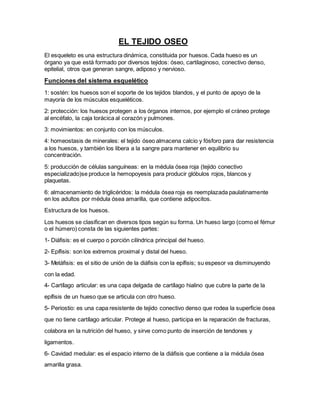 EL TEJIDO OSEO
El esqueleto es una estructura dinámica, constituida por huesos. Cada hueso es un
órgano ya que está formado por diversos tejidos: óseo, cartilaginoso, conectivo denso,
epitelial, otros que generan sangre, adiposo y nervioso.
Funciones del sistema esquelético
1: sostén: los huesos son el soporte de los tejidos blandos, y el punto de apoyo de la
mayoría de los músculos esqueléticos.
2: protección: los huesos protegen a los órganos internos, por ejemplo el cráneo protege
al encéfalo, la caja torácica al corazón y pulmones.
3: movimientos: en conjunto con los músculos.
4: homeostasis de minerales: el tejido óseo almacena calcio y fósforo para dar resistencia
a los huesos, y también los libera a la sangre para mantener en equilibrio su
concentración.
5: producción de células sanguíneas: en la médula ósea roja (tejido conectivo
especializado)se produce la hemopoyesis para producir glóbulos rojos, blancos y
plaquetas.
6: almacenamiento de triglicéridos: la médula ósea roja es reemplazada paulatinamente
en los adultos por médula ósea amarilla, que contiene adipocitos.
Estructura de los huesos.
Los huesos se clasifican en diversos tipos según su forma. Un hueso largo (como el fémur
o el húmero) consta de las siguientes partes:
1- Diáfisis: es el cuerpo o porción cilíndrica principal del hueso.
2- Epífisis: son los extremos proximal y distal del hueso.
3- Metáfisis: es el sitio de unión de la diáfisis con la epífisis; su espesor va disminuyendo
con la edad.
4- Cartílago articular: es una capa delgada de cartílago hialino que cubre la parte de la
epífisis de un hueso que se articula con otro hueso.
5- Periostio: es una capa resistente de tejido conectivo denso que rodea la superficie ósea
que no tiene cartílago articular. Protege al hueso, participa en la reparación de fracturas,
colabora en la nutrición del hueso, y sirve como punto de inserción de tendones y
ligamentos.
6- Cavidad medular: es el espacio interno de la diáfisis que contiene a la médula ósea
amarilla grasa.
 