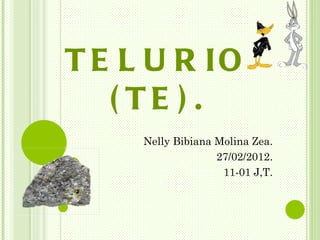 T E L U R IO
   ( TE ) .
     Nelly Bibiana Molina Zea.
                   27/02/2012.
                    11-01 J,T.
 
