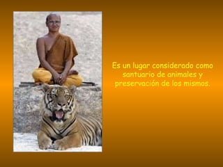 Es un lugar considerado como santuario de animales y preservación de los mismos.