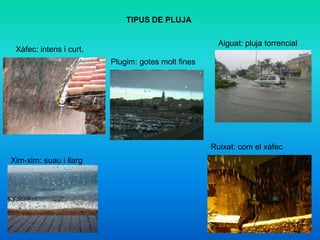 TIPUS DE PLUJA
Xàfec: intens i curt.
Plugim: gotes molt fines
Aiguat: pluja torrencial
Xim-xim: suau i llarg
Ruixat: com el xàfec
 