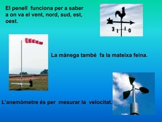 El penell funciona per a saber
a on va el vent, nord, sud, est,
oest.
L’anemòmetre és per mesurar la velocitat.
La mànega també fa la mateixa feina.
 
