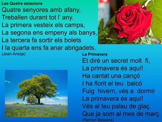 La Primavera
Et diré un secret molt fi,
La primavera és aquí!
Ha cantat una cançó
I ha florit el teu balcó
Fuig hivern, vés a dormir
La primavera és aquí!
Vés al teu palau de glaç
Que ja som al mes de març.
(Ramon Bessora)
Les Quatre estacions
Quatre senyores amb afany,
Treballen durant tot l’ any.
La primera vesteix els camps,
La segona ens empeny als banys,
La tercera fa sortir els bolets
I la quarta ens fa anar abrigadets.
(Joan Antoja)
 