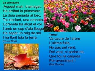 La primavera
Aquest matí, d’amagat,
Ha arribat la primavera.
La duia penjada al bec,
Tot xisclant, una oreneta.
L’oreneta ha alçat el vol
I amb un cop d’ala lleugera
Ha segat un raig de sol
I ha florit tota la terra.
(Nuria Albó)
Tardor
Va caure de l’arbre
L’ultima fulla ,
No pas pel vent,
Del vent, ni parlar-ne,
Que fou la caiguda
Per avorriment !
(Mar Pavón)
 