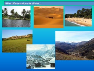 Hi ha diferents tipus de climes…
 