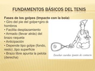 EL TENIS                  FEMENINOWTAWomen's Tennis Association, en su forma abreviada WTA, es la organización principal que rige los torneos y el circuito profesional del tenis femenino a nivel mundial. A modo comparativo, es al tenis femenino lo que la ATP al tenis masculino. La WTA organiza el calendario y designa las sedes oficiales de los torneos del circuito femenino, también llamado WTA Tour. En 2005 la WTA cambió el nombre del WTA Tour por el de The Sony Ericsson WTA Tour debido a un contrato firmado de Patrocinio con la firma nipona-sueca de teléfonos móviles y accesorios, Sony Ericsson.La WTA comenzó en Houston, Texas EE. UU. el 23 de septiembre de 1970.
