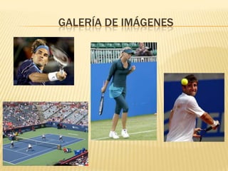 Galería de imágenes