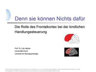 http://www.kantisargans.ch/home/unsere_schule/kg_sem/_jcr_content/Par/downloadlist_0/DownloadListPar/download_1.ocFile/
Vortrag%20Prof.%20Dr.%20Lutz%20J%C3%A4ncke%20Universit%C3%A4t%20Z%C3%BCrich.pdf
 