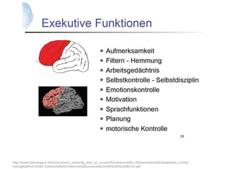 http://www.kantisargans.ch/home/unsere_schule/kg_sem/_jcr_content/Par/downloadlist_0/DownloadListPar/download_1.ocFile/
Vortrag%20Prof.%20Dr.%20Lutz%20J%C3%A4ncke%20Universit%C3%A4t%20Z%C3%BCrich.pdf
 