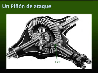 Un Piñón de ataque
 